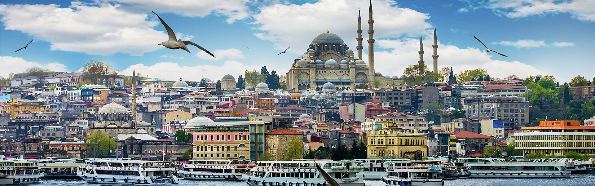 Экскурсии в Стамбуле Турция